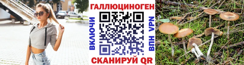 наркота  mega tor  Псилоцибиновые грибы прущие грибы  Кочубеевское 